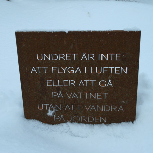 Bevingade ord på vägen
