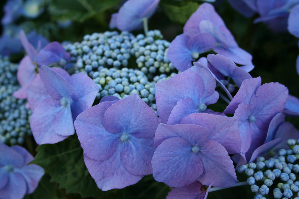 Bild 014