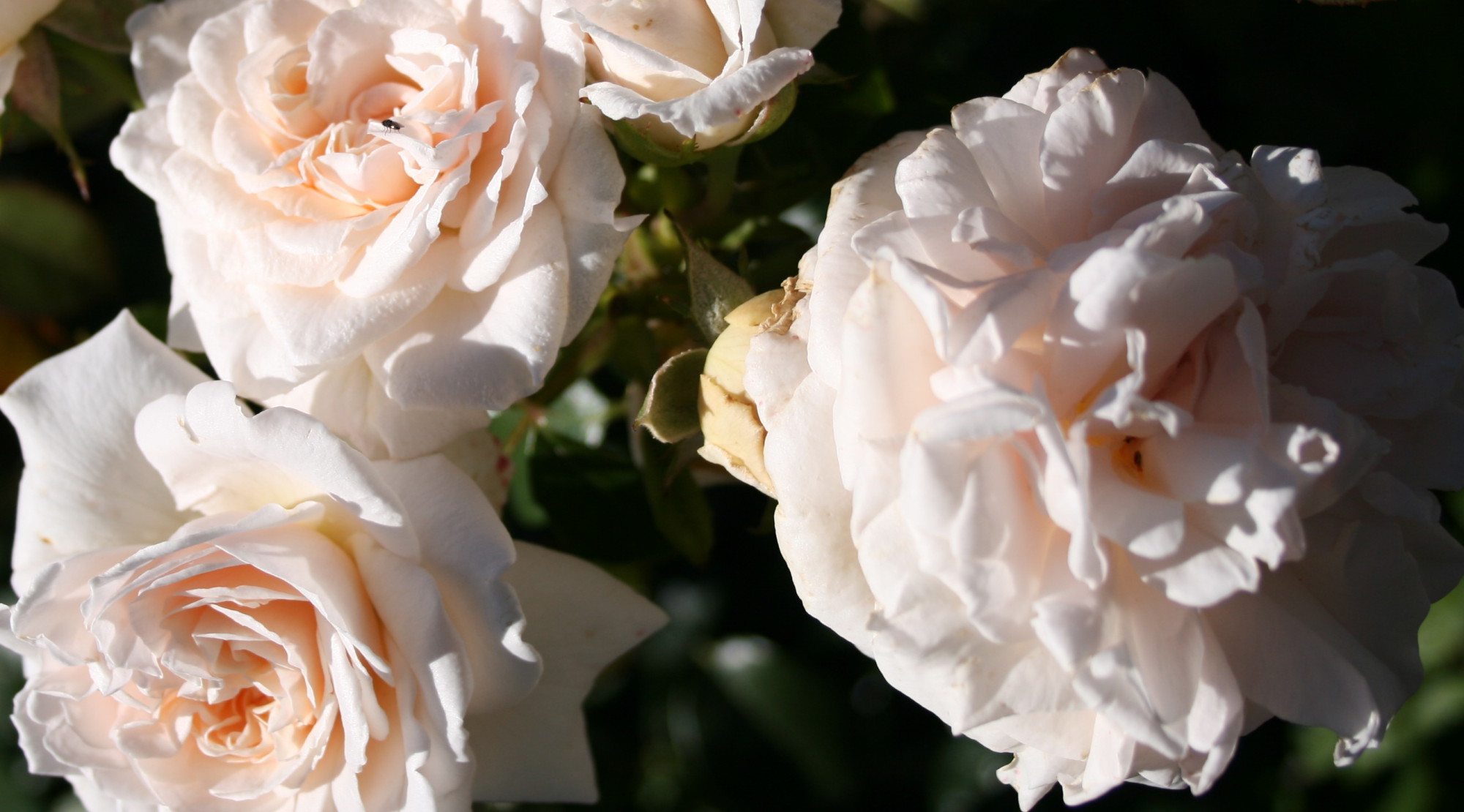 Bild 022